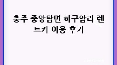 충주 중앙탑면 하구암리 렌트카 추천 및 후기 BEST