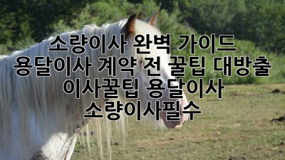 📦 소량이사 완벽 가이드: 용달이사 계약 전 꿀팁 대방출! #이사꿀팁 #용달이사 #소량이사필수